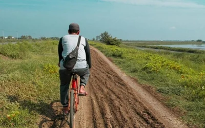 Hobbies That Recharge the Soul